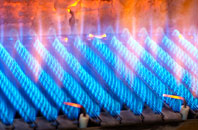 Viscar gas fired boilers