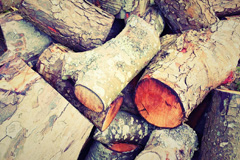 Viscar wood burning boiler costs